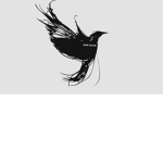 black birds official group