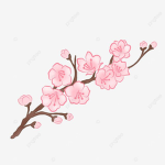 Sakumo