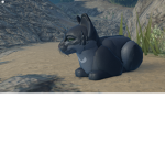 bunny julia group
