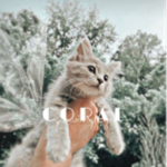 So_preppy