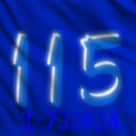Task Force 115