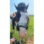 Experienced riders