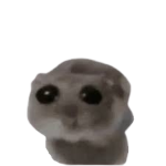 I love the cheese but not the holes part ngl