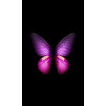 Squad butterfly Natalya