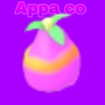 Appa Co