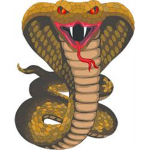 The Wind Cobras
