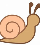 Silly SNAIL SQUAD