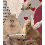 ~•Capybarki cioci•~
