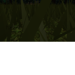The forest
