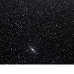 immortal star