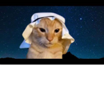 poopbuttmonkey