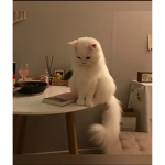>3 قروب الحلويننن