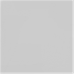 Silver Corporation And Associates