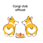 Corgi club OFFICIAL