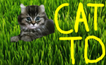 Cat TD Studios