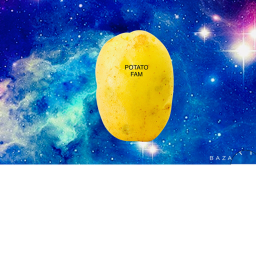 =Potatofam= homebase