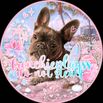 Frenchie Plays