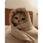 Come on in, children~