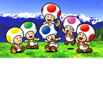 Toads workshop