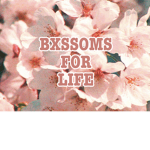 SweetMushrooms!