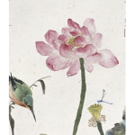LovelyLotus