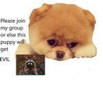 ! I LOVE ANIMALS!
