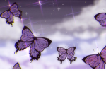 Bᴜsᴛᴇʀs ᴄʟᴏᴛʜɪɴɢ sʜᴏᴘ