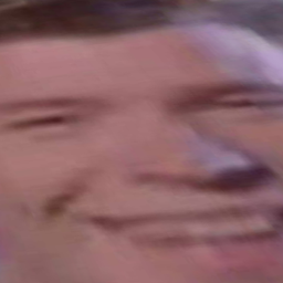 Not a Rickroll Obby
