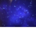 RSTP
