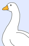 We're silly geese