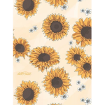!Aesthetic Sunflowers!
