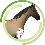 Roblox Equestrians United