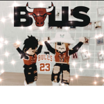 !The Bulls!