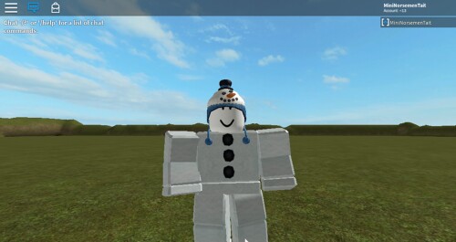 #### Snowman Playz and Koala_z