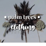 • palm trees •