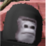 Admin/Owners Club