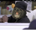 Unity of Rats