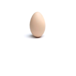 Eggcellent Studios