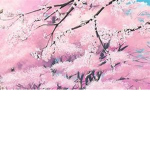 ·blossoms·trees·