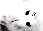 ‘Hoshii
