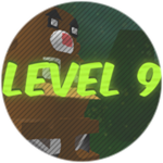 Level 9