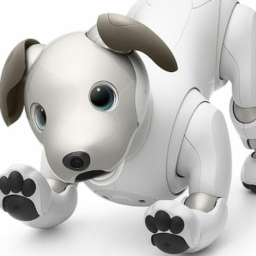 Survive The Silly Dogs The Killer! :3