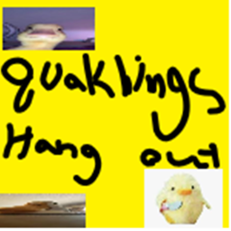 Ducklings Hangout