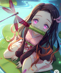 Team nezuko kamado
