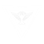 [~] Protection Division