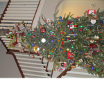 Money tree!!??
