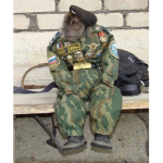 The monkey military