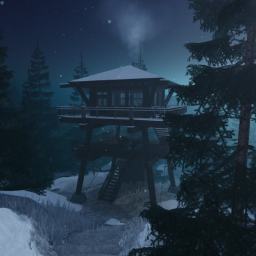 The Forest