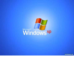 The Democratic Republic of Microsoft