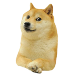 five days with dog fan group